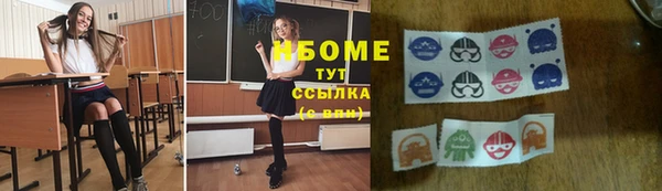 амф Алексин