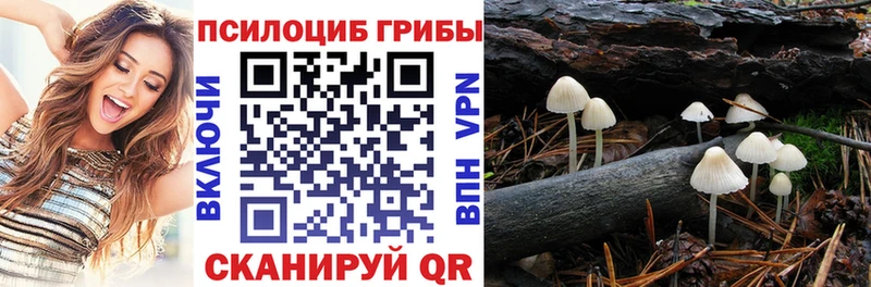 мега ссылка  Алексеевка  Псилоцибиновые грибы мицелий 